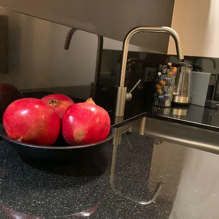 Design City Center Family Double Floor Apartment Studio Delft C38 Apartment