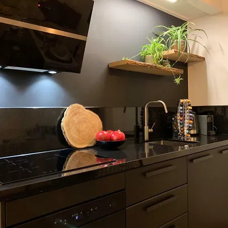 Lejlighed Design City Center Family Double Floor Apartment Studio Delft C38
