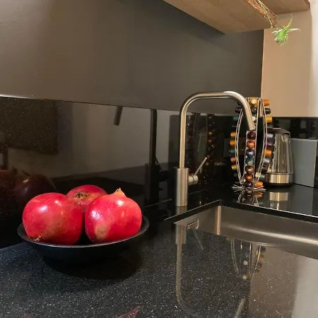 Design City Center Family Double Floor Apartment Studio Delft C38