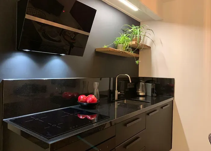 Design City Center Family Double Floor Apartment Studio Delft C38 Delft