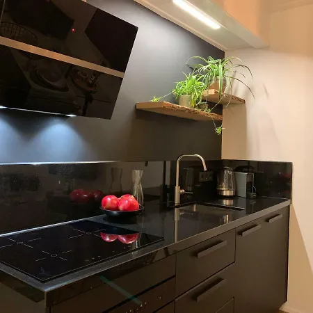 Design City Center Family Double Floor Apartment Studio Delft C38 Delft