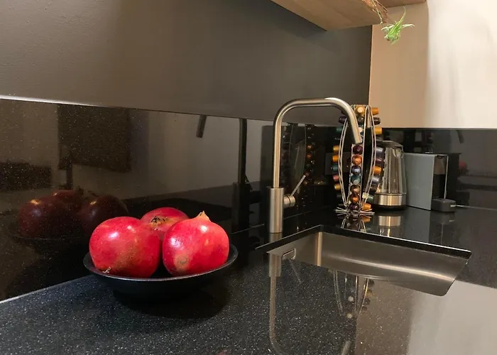 Design City Center Family Double Floor Apartment Studio Delft C38